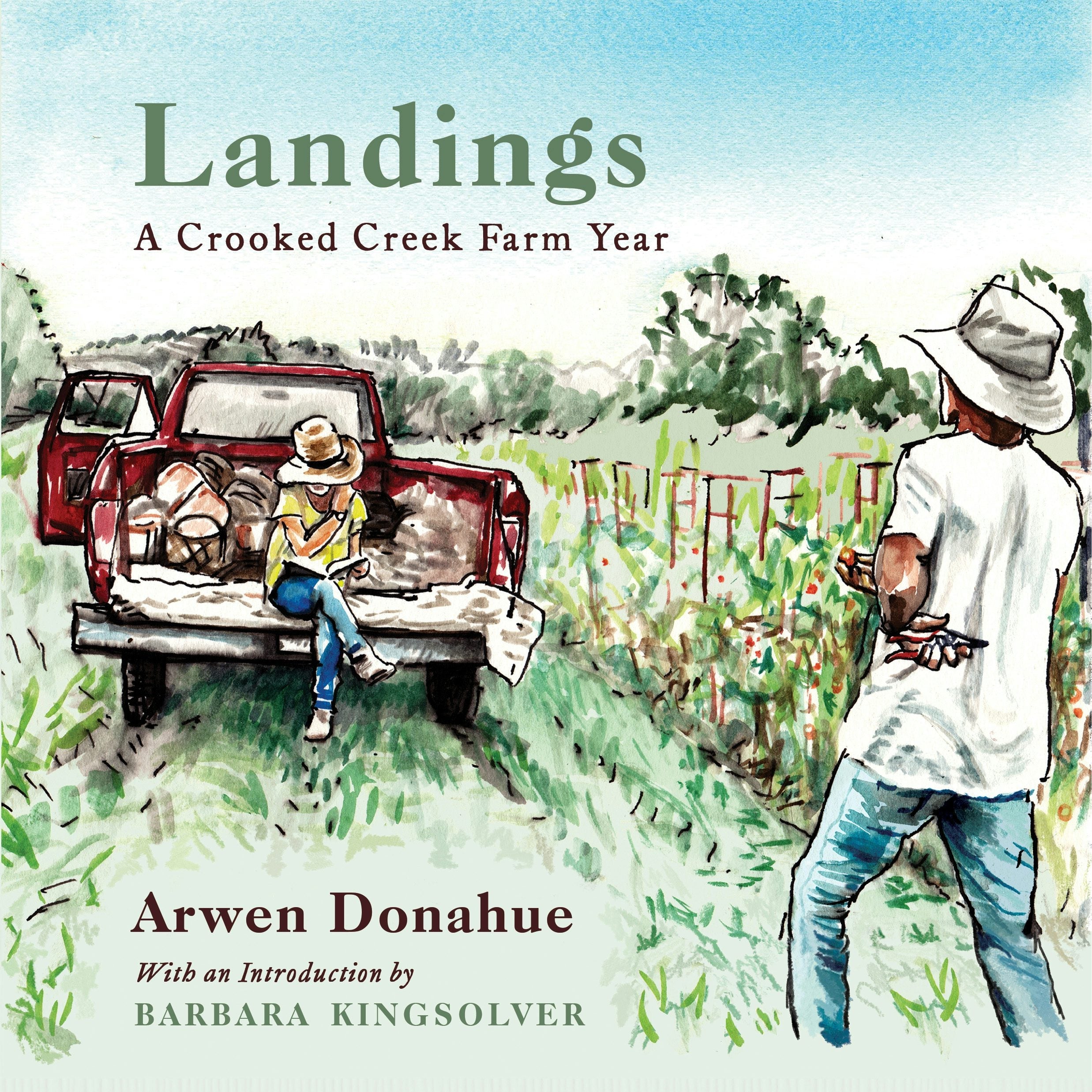 Book cover image for Landings ISBN: 9798885740104